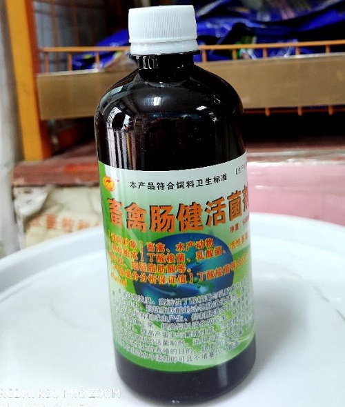 腸道.jpg