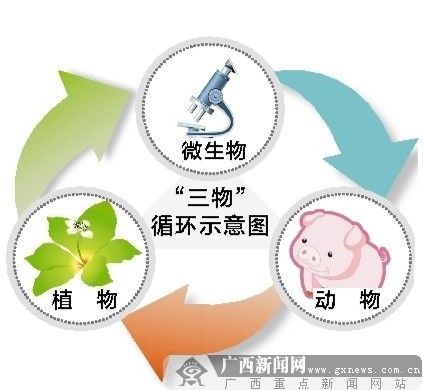 三物循環(huán)圖.jpg