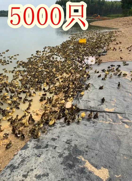 QQ圖片20221006101543.jpg
