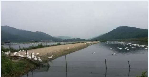 QQ截圖20230418160753.png