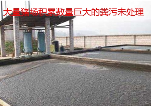 養(yǎng)殖場污水生物處理劑21.jpg