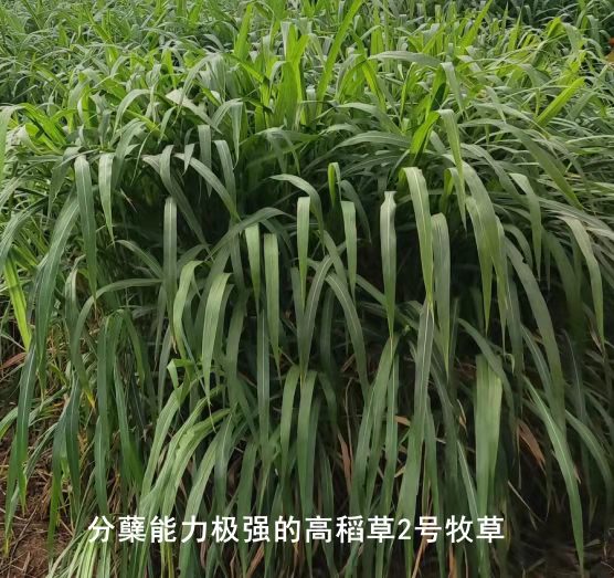 微信圖片_20230608103459.jpg