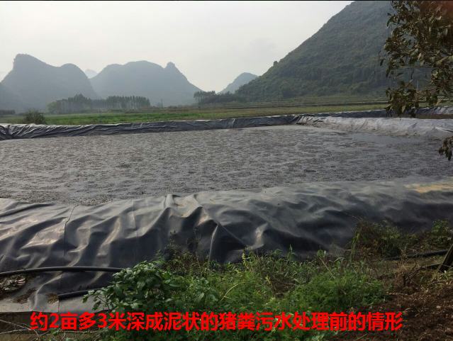 養(yǎng)殖場(chǎng)污水生物處理劑28.png