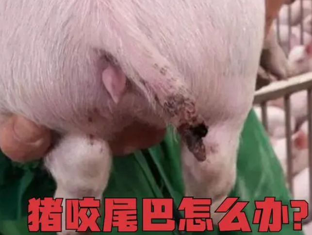 微信圖片_20231012154005.png