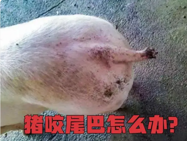 微信圖片_20231012154019.png