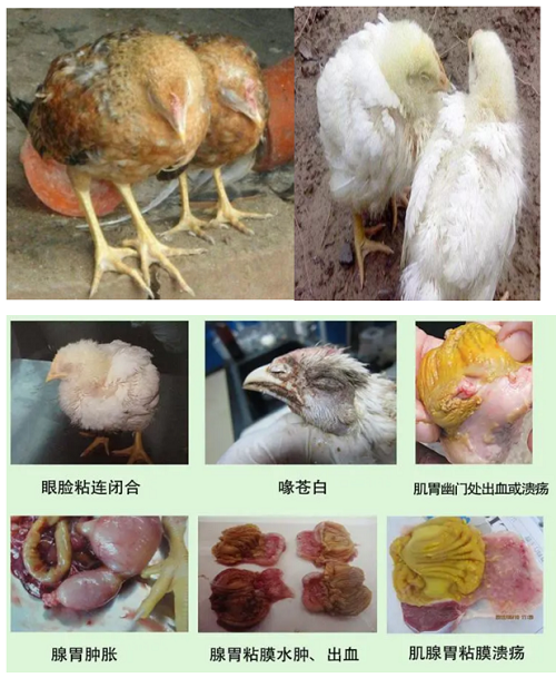 微信圖片_20231016154025.png