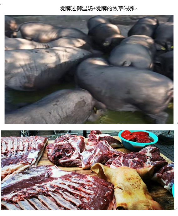 微信圖片_20231016115415.png
