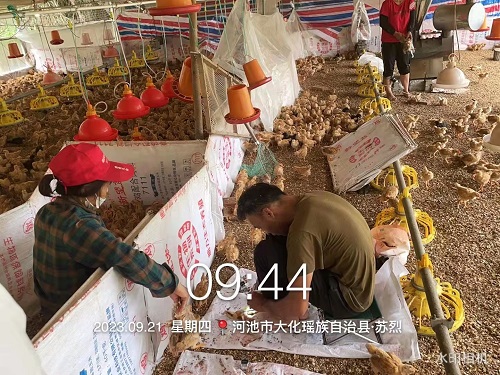 微信圖片_20231031093829.jpg