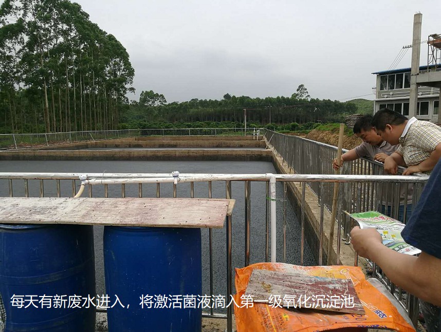 每天有新廢水進(jìn)入，將激活菌液滴入第一級(jí)氧化沉淀池.jpg