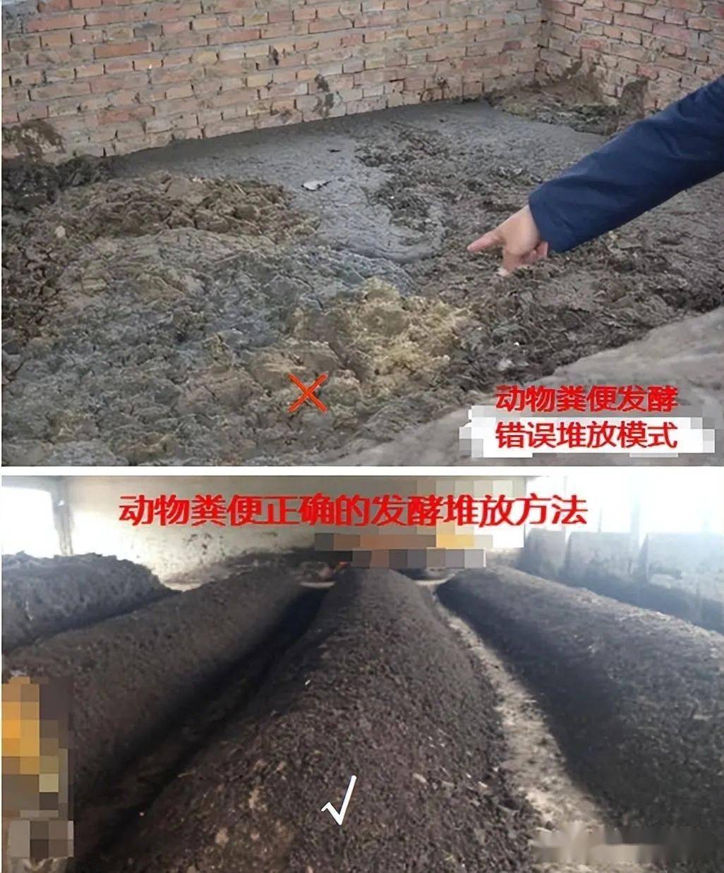 微信圖片_20250113170728.jpg