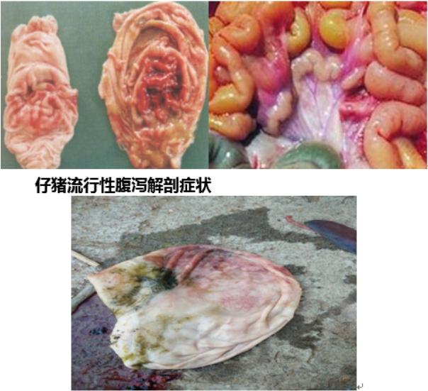 微信截圖_20250116100855.jpg