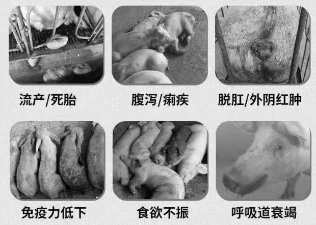 微信截圖_20250213105428.jpg
