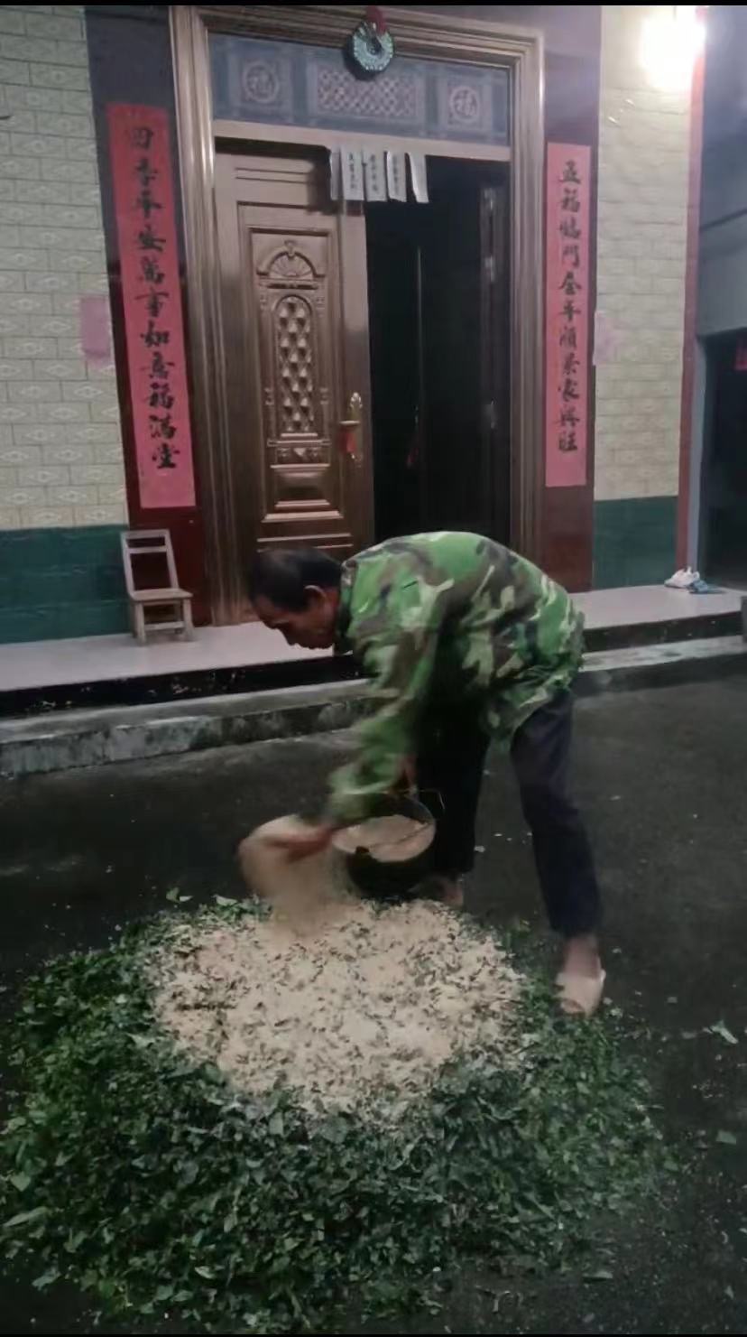 微信圖片_20250224100430.jpg