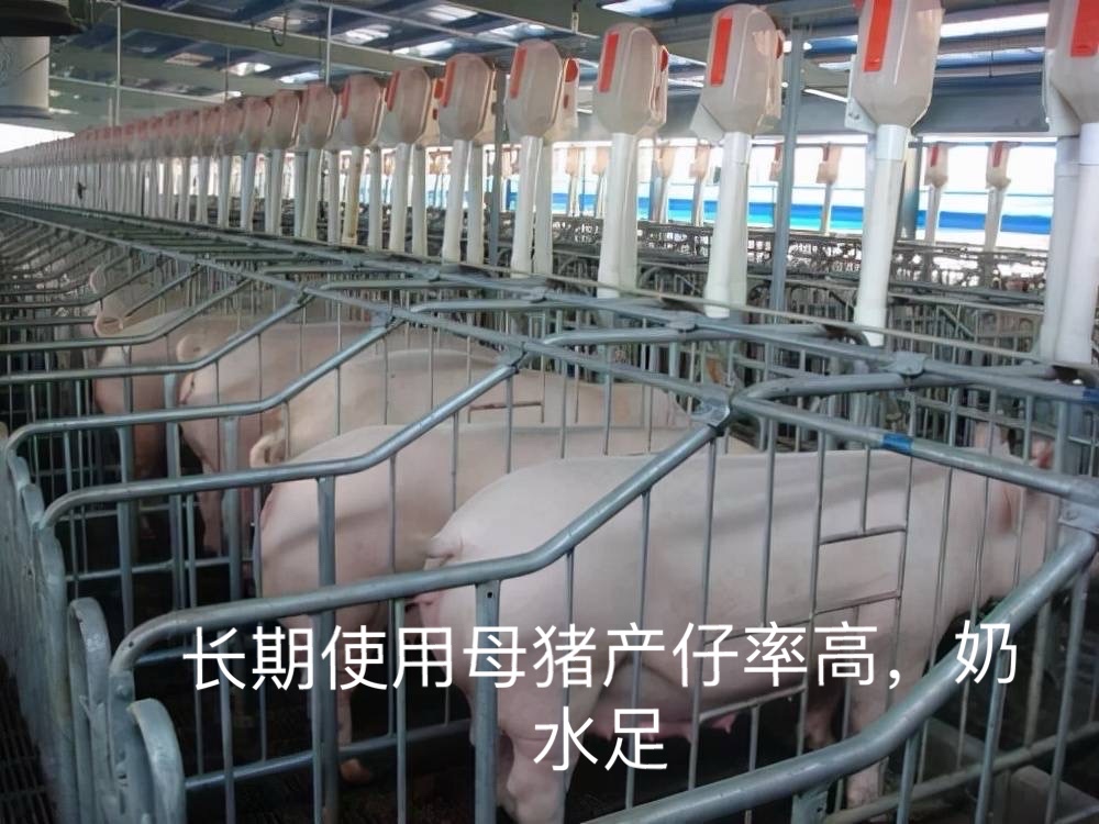 微信圖片_20250310145200.jpg