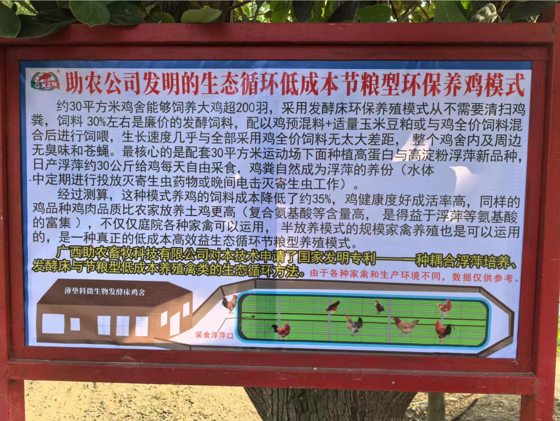 一種耦合浮萍培養(yǎng)、發(fā)酵床與節(jié)糧型低成本養(yǎng)殖禽類的生態(tài)循環(huán)方法.jpg