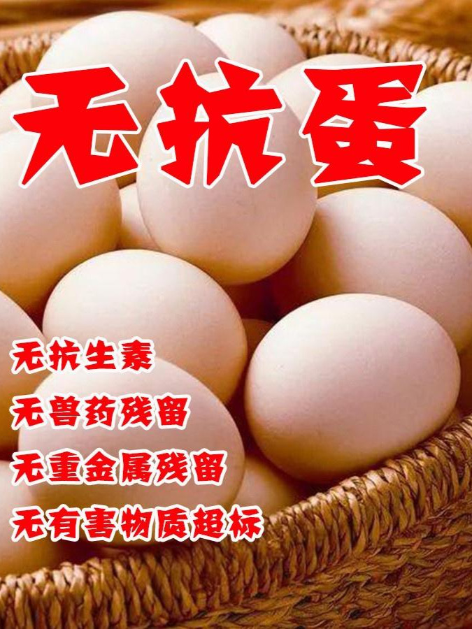 微信圖片_20250422154315.jpg