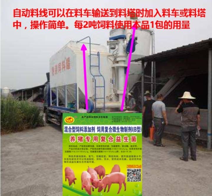 微信圖片_20250603153219.jpg