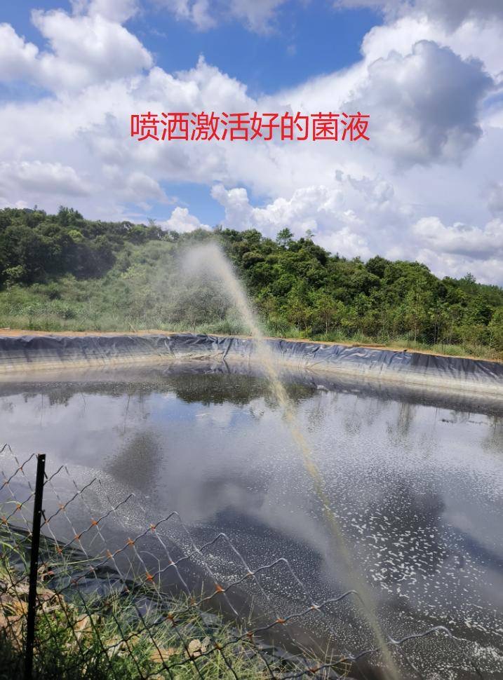 微信圖片_20250603153210.jpg