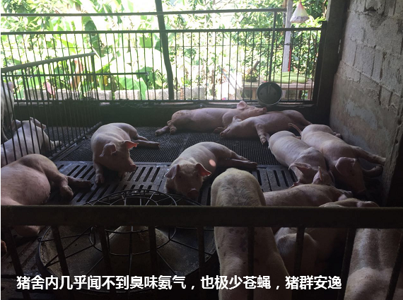 截圖20250604094709.png