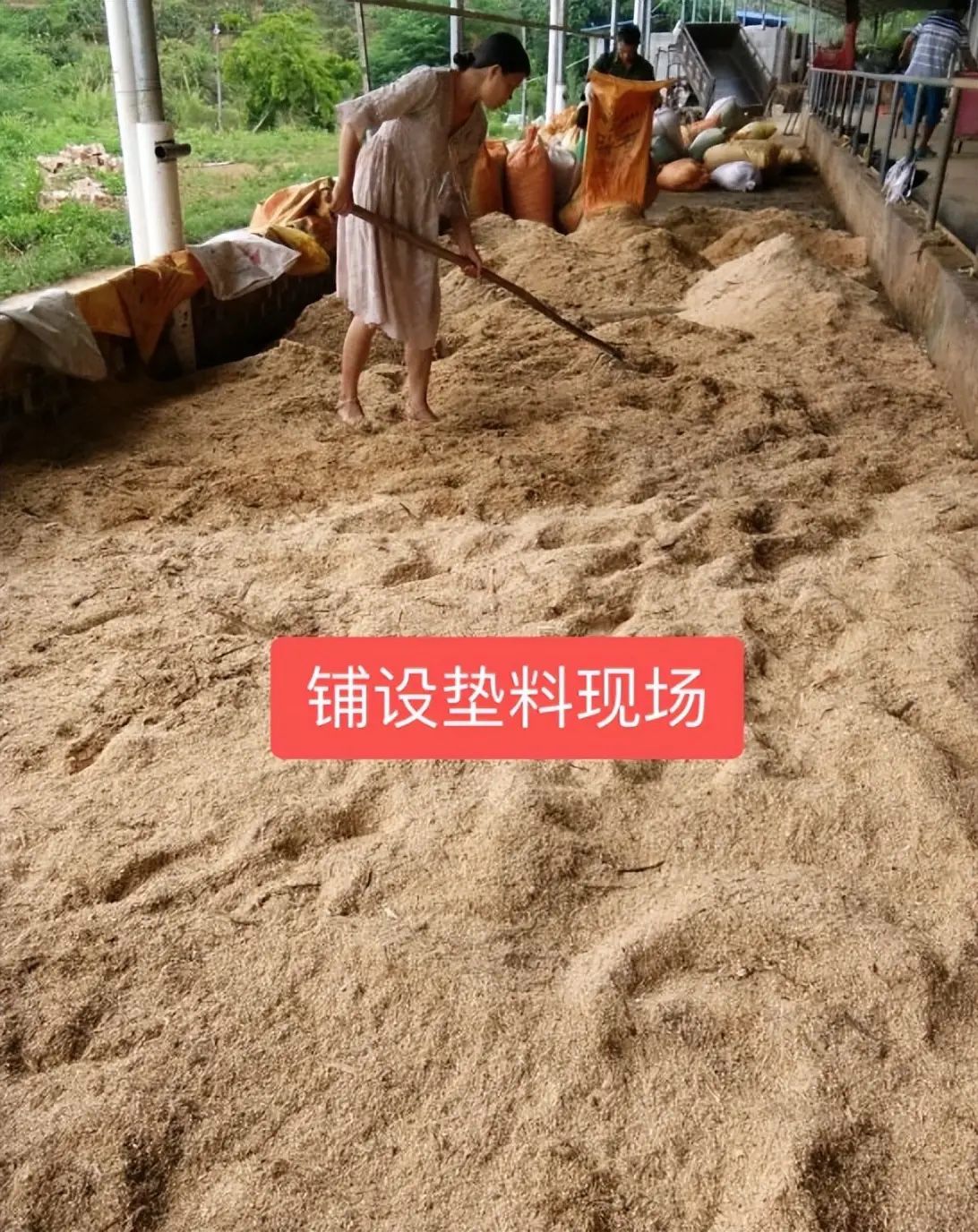 QQ圖片20250606160034.jpg
