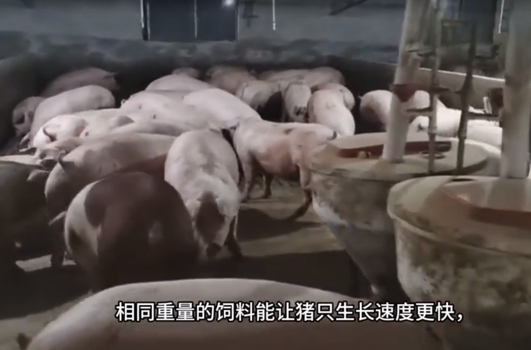 截圖20250611095126.png