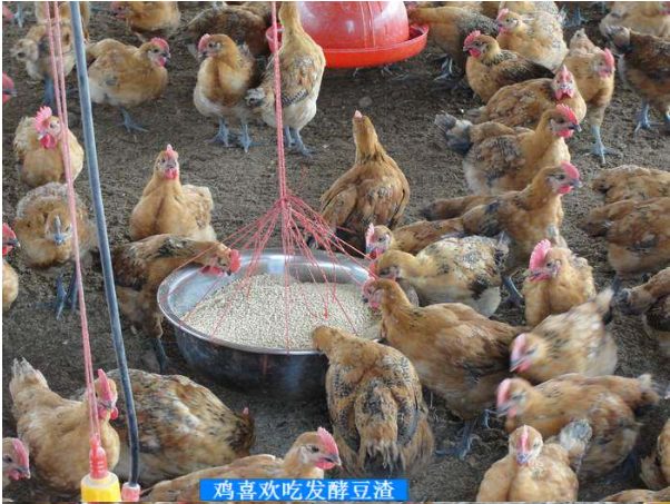 活力發(fā)酵床5.png