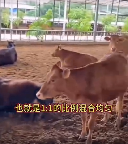 截圖20250624092738.png
