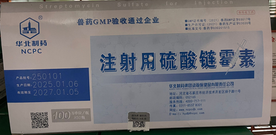 3A08C1CA76A2F38B12AC04FD202DD044.png