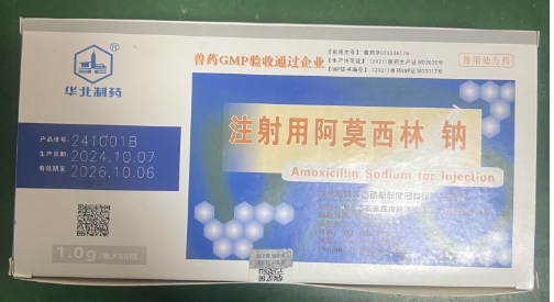微信截圖_20250625091532.jpg