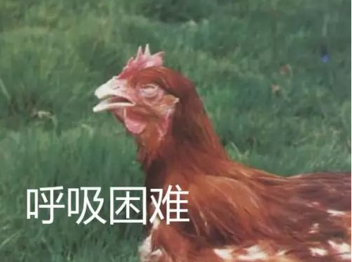 QQ圖片20250630094016.png