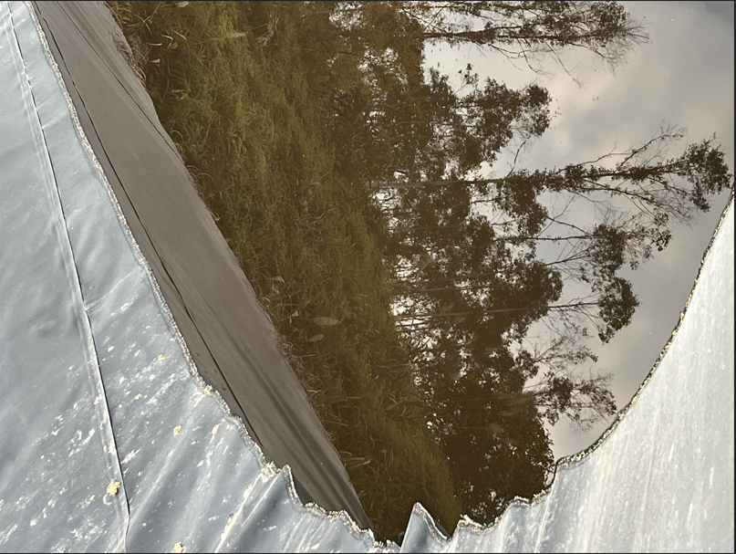 3659661cef15abc585f873c26afcd0d.png