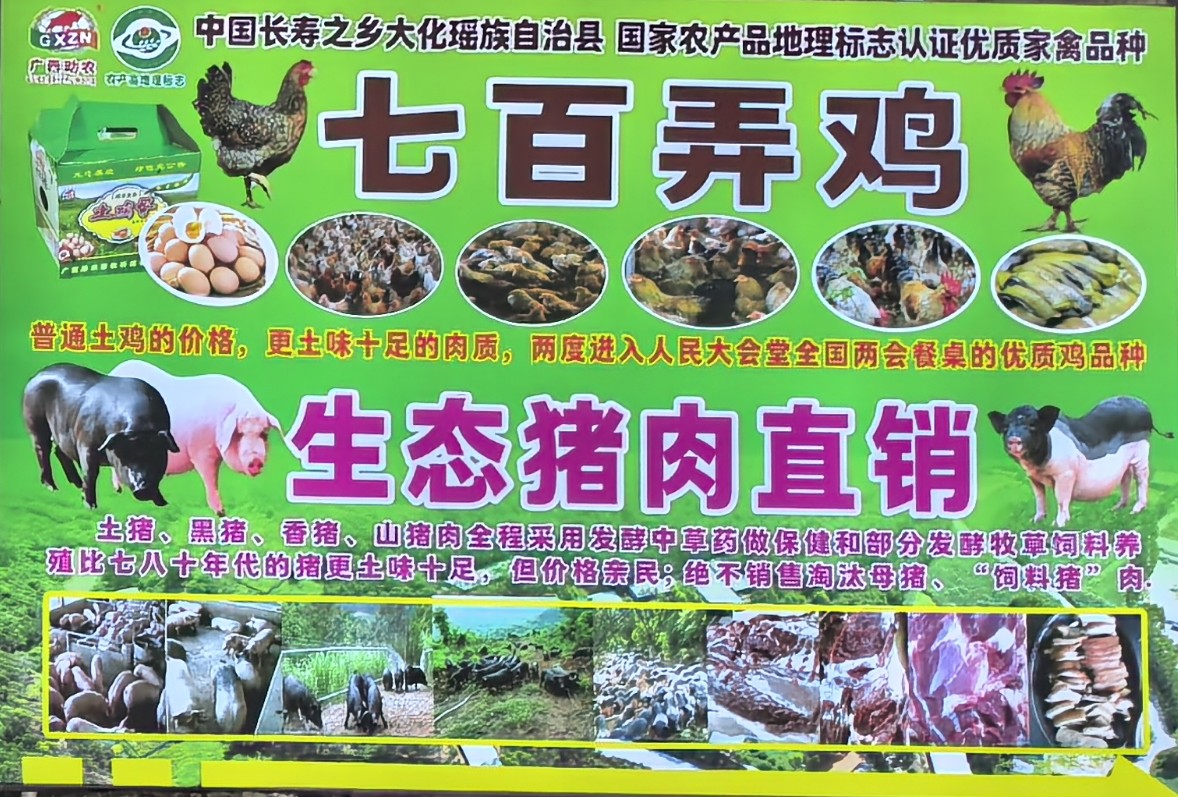 七百弄雞和生態(tài)豬肉.jpg