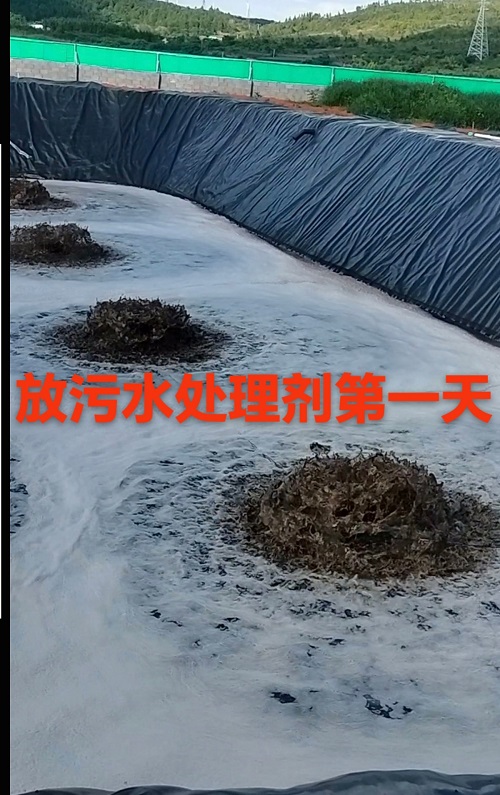 微信圖片_20250722212917.jpg