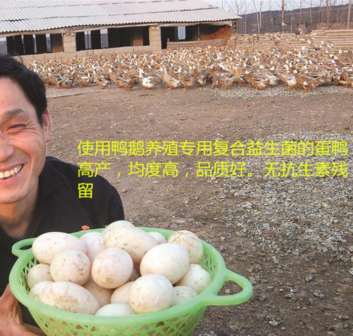 截圖20250723100245.png