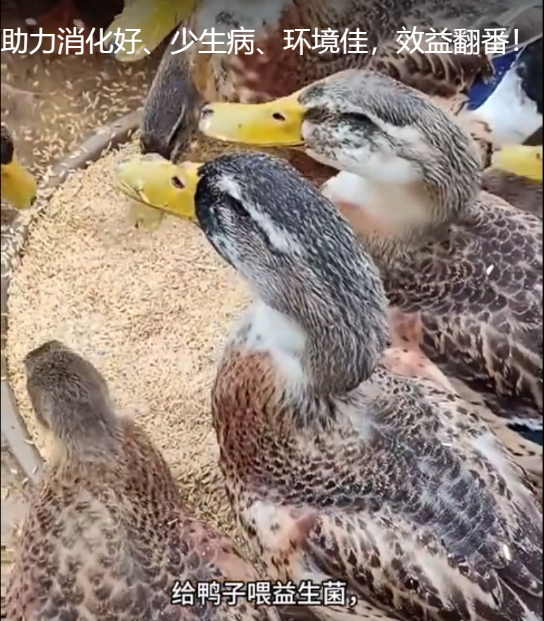 截圖20250723102559.png