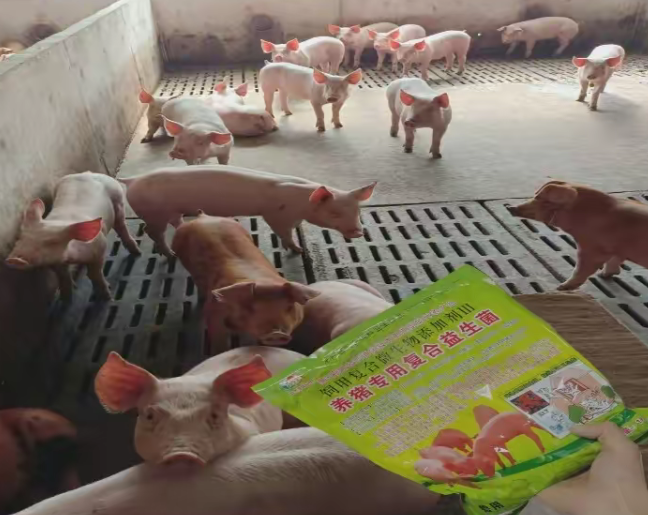 養(yǎng)豬專用復(fù)合益生菌3.jpg