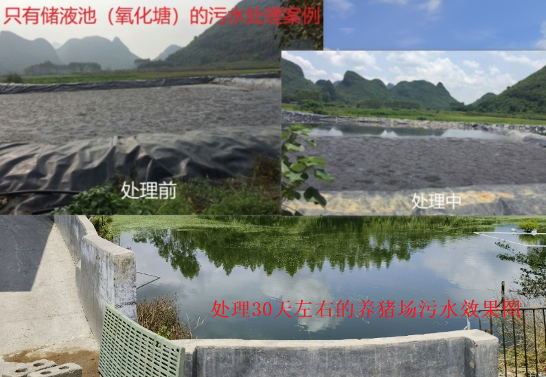 污水處理.png