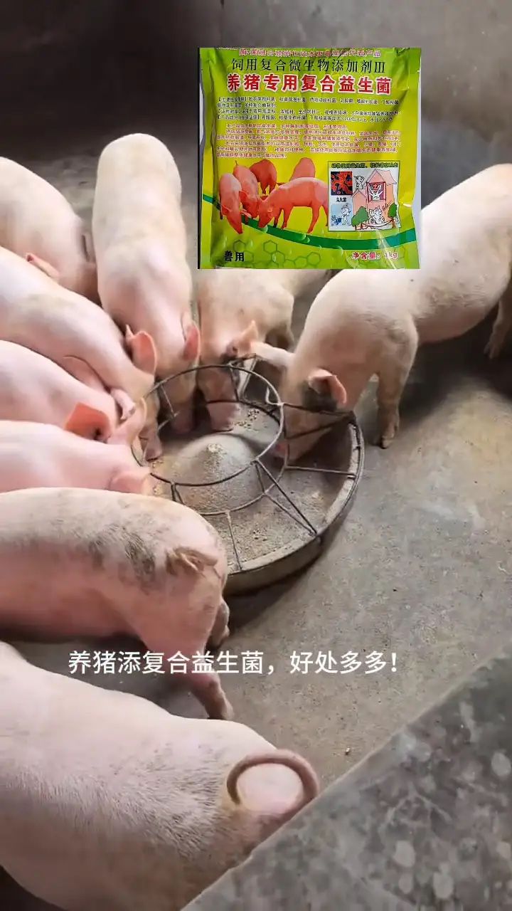 QQ圖片20250729123855.jpg