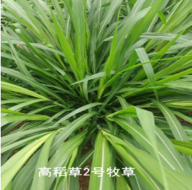 QQ圖片20221212102638.png