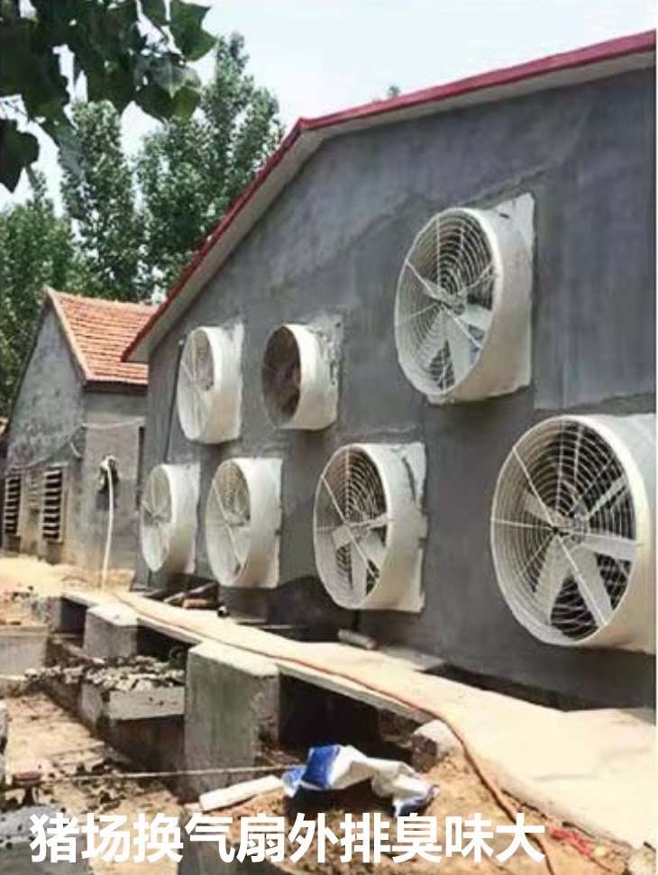 豬場換氣扇外排臭味大.jpg