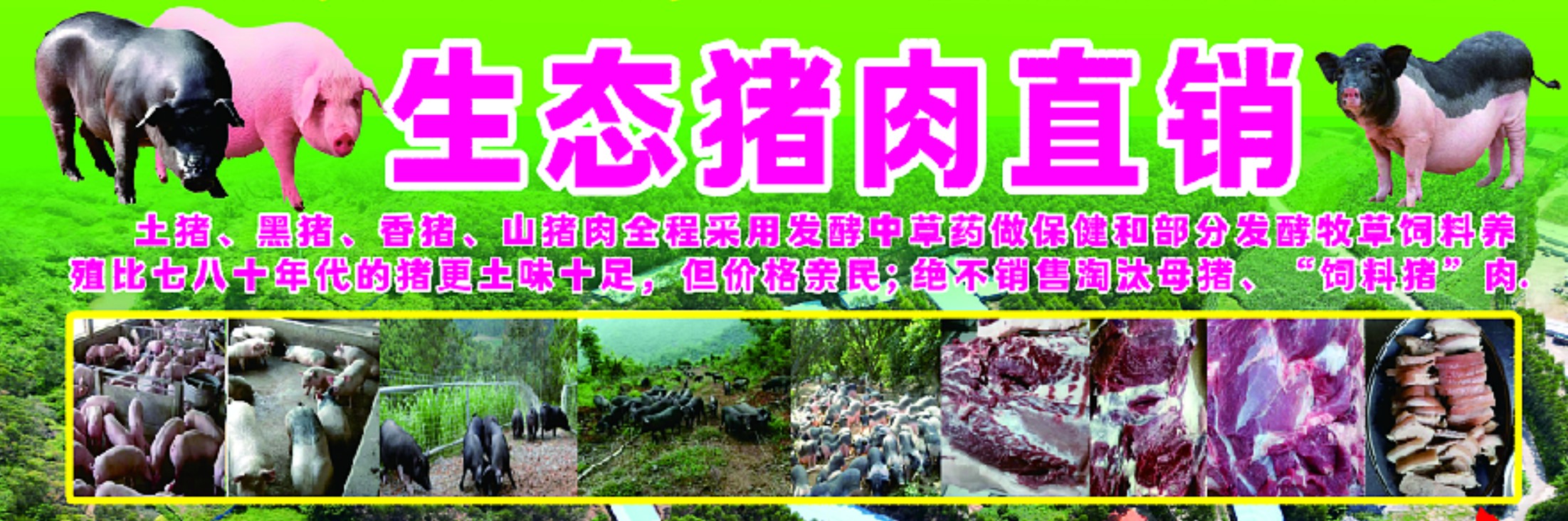 牧草豬肉2.jpg