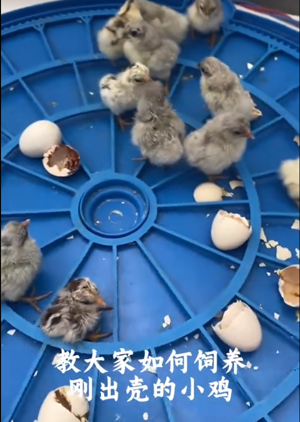 截圖20250828102322.png
