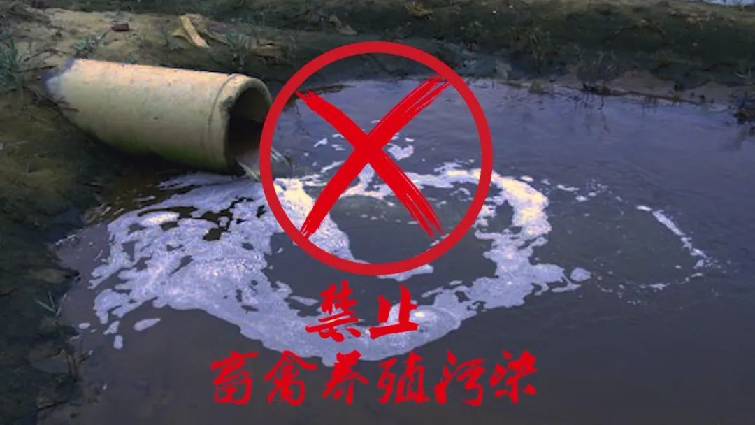 禁止畜禽養(yǎng)殖污染.jpg
