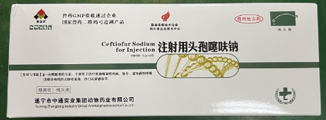 微信截圖_20250901100101.jpg