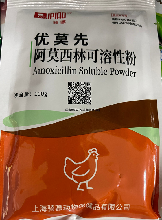 B483C2C936678D4BC4FC6B2D6C390FA7.png