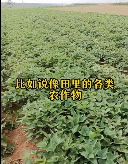 截圖20250903094155.png