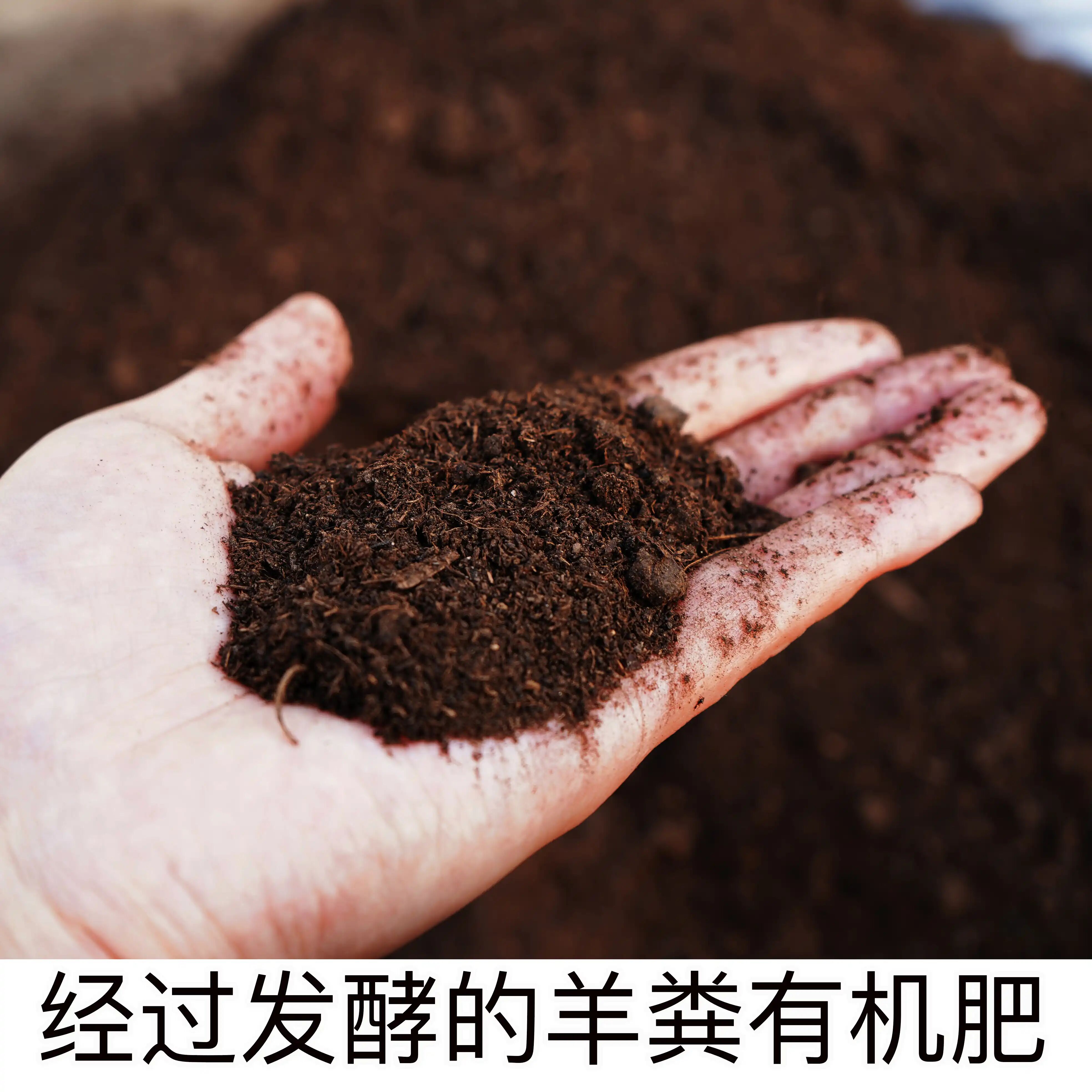 555f7a200d075dc78433abc0a71541c5.jpg