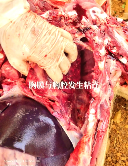 微信截圖_20250909092247.jpg