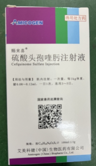 微信截圖_20250909092335.jpg