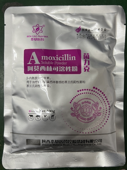 微信截圖_20250911103119.jpg